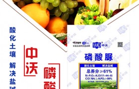 冬油菜施肥的要点是啥？油菜的种植管理