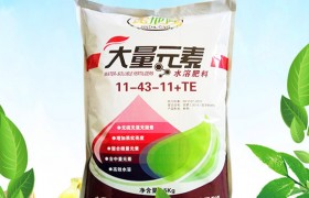 2020春玉米更佳播种时间，春玉米的播种技术要点