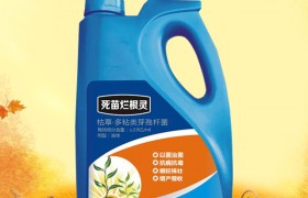 菜豌豆死苗怎么办？菜豌豆死苗有效防治技巧