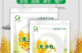 小麦条锈病咋防治？小麦条锈病的用法