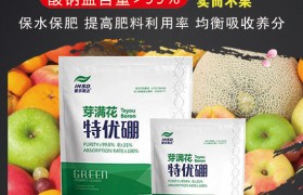 花生施肥有什么技术？花生叶面喷肥应用技术！