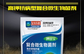 大豆变黄枯死怎么办？大豆变黄枯死症状特点