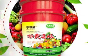 小麦浇灌冻水应该注意啥