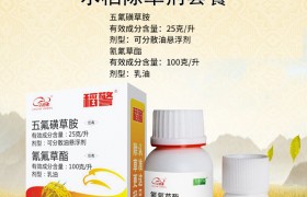 水稻烂种原因是啥？又该怎样防治？