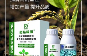 五种玉米异常苗大盘点，这样防治产量更高！