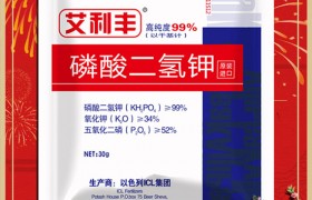 紫薯如何种植，紫薯种植方法和注意事项！