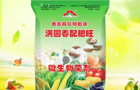 2020花生种植前景怎么样，花生有哪些种植要点！