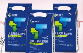 向日葵怎么种，向日葵高产管理技术有哪些？