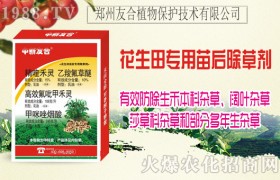 花生田除草剂三大配方，杂草防治难题不再怕！