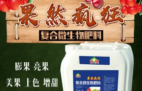 如何种植糯玉米才能实现高产？糯玉米种植要点有哪些