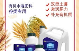 粘玉米种植高产技术在这里，大家快来看！