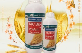 水稻稻瘟病的危害 水稻稻瘟病的防治方法