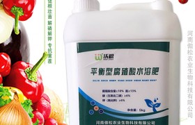 九种小麦增产技术，赶紧过来瞅瞅吧！