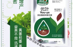 豌豆芽枯病咋防治？豌豆病害防治