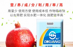 水稻移栽该如何做好？插秧期水稻移栽高产技术！