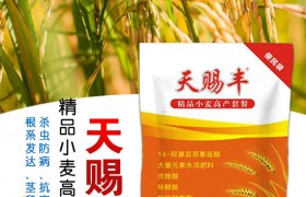 水稻后期普遍的6种病虫害，水稻后期病虫害防治方法