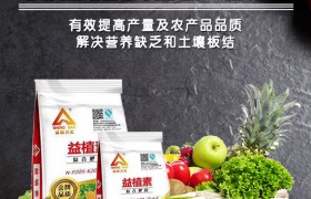 棉花应该怎样追肥？棉花追肥技巧！