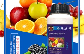 如何种植紫薯更高产，紫薯的种植方法与前景！