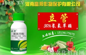 苄嘧磺隆除哪些杂草？苄嘧磺隆使用方法以及注意事项