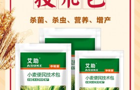 天气寒冷 小麦防冻有妙招