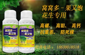 春花生什么时候施肥比较合适？应该如何施肥？