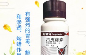 南方水稻什么时候播种，水稻播种育苗要点，快来看看