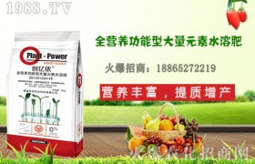 种植冬小麦应该如何施肥？施肥时需要注意什么？