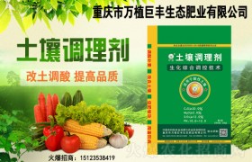 大豆想要高产应该如何施肥？记住这几点！