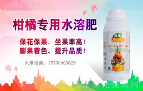 花生应该在什么时候追肥？应该如何追肥？