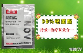 花生根腐病症状、发病规律以及防治方法！