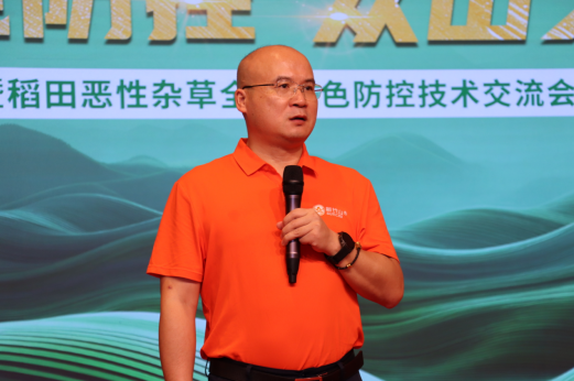 稻田恶性杂草暴发，新长山创新技术防效显著