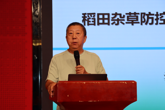 稻田恶性杂草暴发，新长山创新技术防效显著