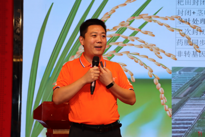稻田恶性杂草暴发，新长山创新技术防效显著