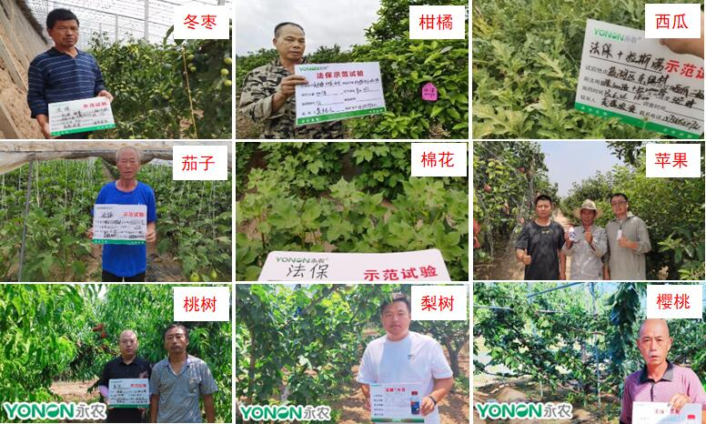 历时11年成功研发，永农生物推出全新农药