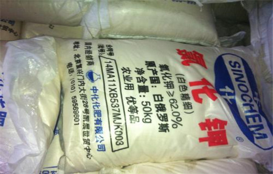 常用的钾肥品种有哪些?施用特点是什么?