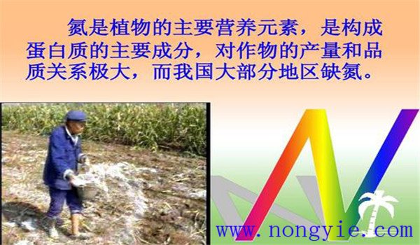 氮肥对作物生长发育的作用