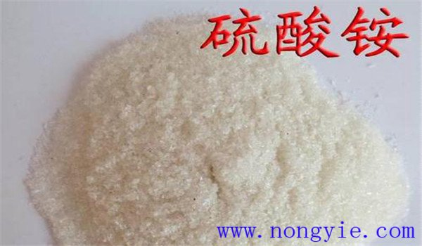 硫酸铵是什么肥料 硫铵和硫酸铵的区别