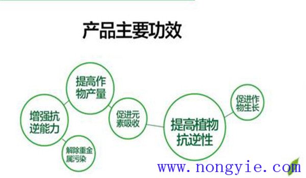 硅肥的种类有哪些，硅肥的作用及功能是什么
