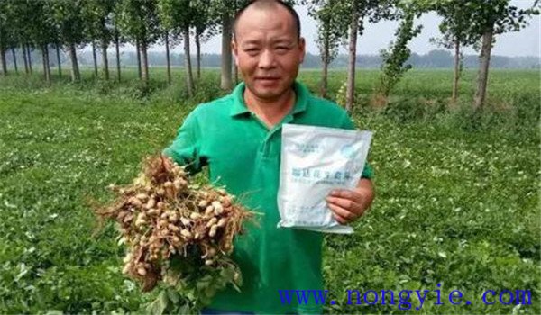 钼肥是什么肥料 钼肥的作用及功能、使用方法