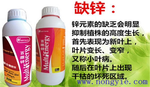 锌肥对植物的作用 锌肥锌肥的作用及使用方法
