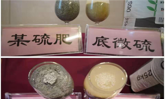 硫肥的作用与使用方法 硫肥对农作物有哪些作用