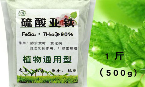 铁肥有哪些 铁肥对植物的作用是什么