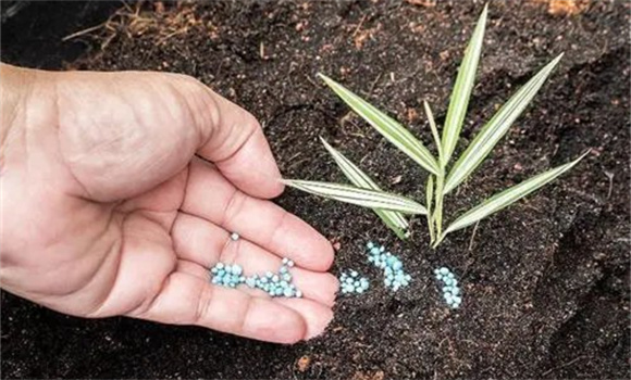 磷肥对植物的作用知多少 磷肥有哪些