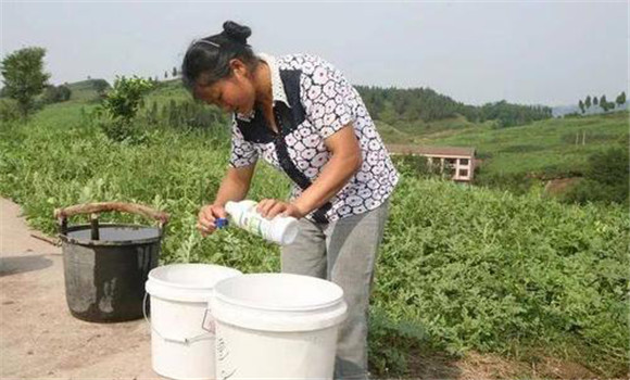 果园化肥混用的注意事项