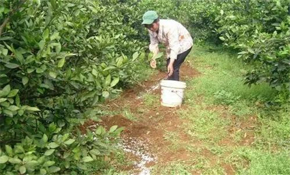 秋季施肥的方法 农作物低温期施肥技巧