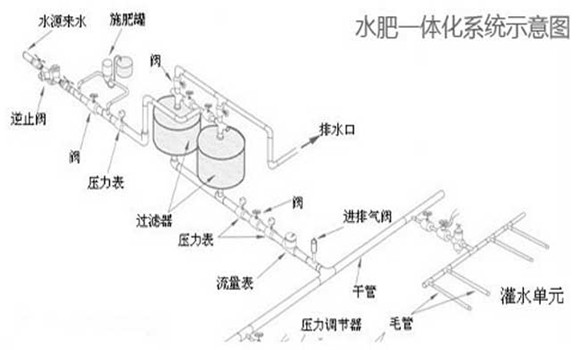 什么是水肥一体化施肥技术 实施要点简介