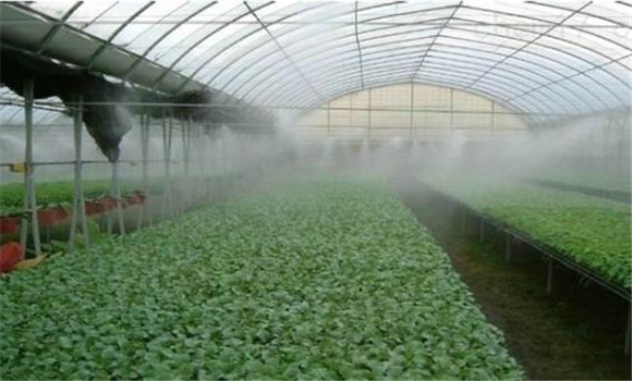 增产菌使用方法有几种，具体怎样施用