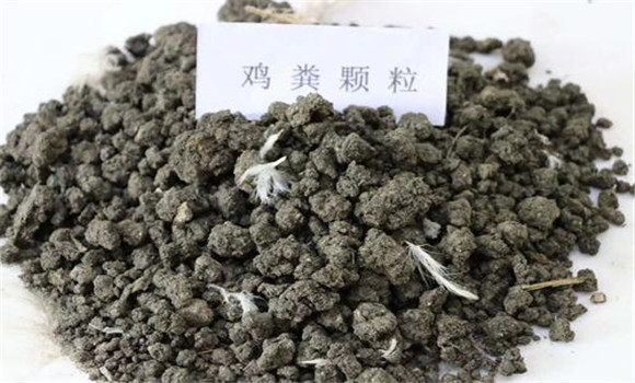 鸡粪有机质含量多少？鸡粪发酵方法和注意事项