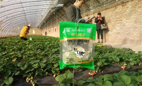 气肥的主要成分是什么？大棚中施放气肥的方法