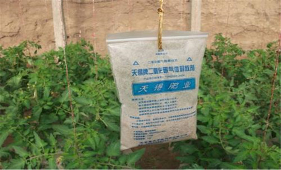 气肥的主要成分是什么？大棚中施放气肥的方法